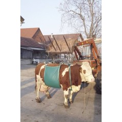 Urządzenie do podnoszenia krów Classic, do 800 kg, Kerbl 