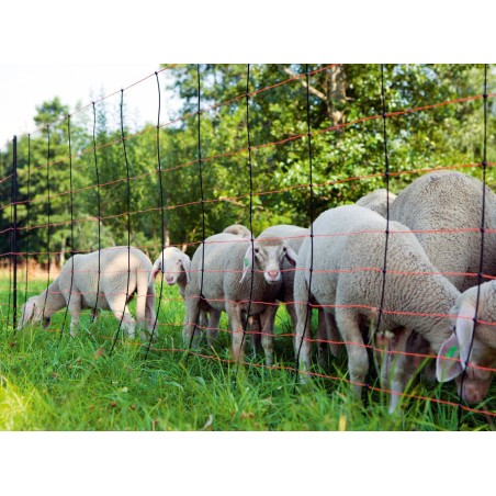 Siatka dla owiec TitanNet, 50 m, 90 cm, poj. szpic, czarno-pomarańczowa, Kerbl