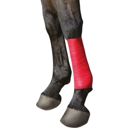 Samoprzylepny bandaż EquiLastic, 7,5 cm, czerwony, Kerbl