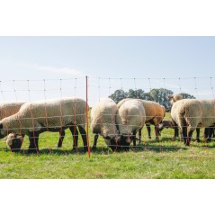 Siatka dla owiec TopLine Net, 50m, 90 cm, pod. szpic, biało-pomarańczowa, Kerbl 