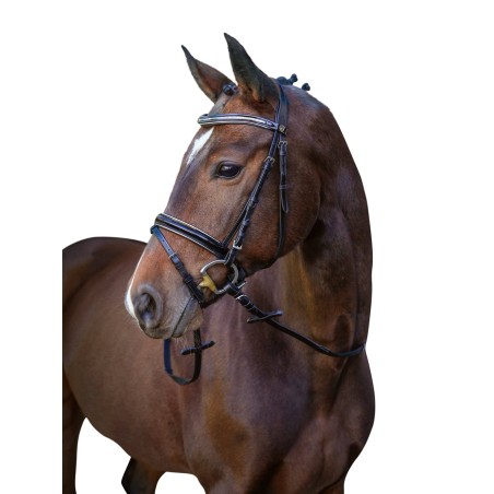 Ogłowie dla konia Kingston, czarny, roz. Pony, Covalliero