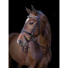 Ogłowie dla konia Kingston, czarny, roz. Pony, Covalliero 