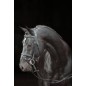 Ogłowie dla konia Classic, czarny, roz. Pony, Covalliero