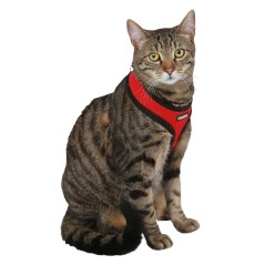 Szelki dla kota ze smyczą 34-44 x 28 cm, czerwone, Kerbl 