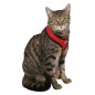 Szelki dla kota ze smyczą 34-44 x 28 cm, czerwone, Kerbl