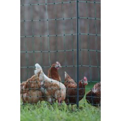 Siatka elektryczna dla drobiu Premium, 50 m, 122 cm, podw. szpic, zielony, Kerbl 