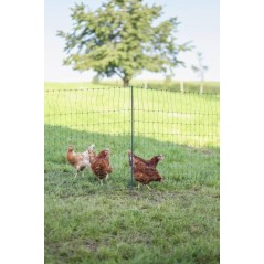 Siatka elektryczna dla drobiu Premium, 50 m, 122 cm, podw. szpic, zielony, Kerbl 