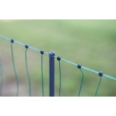 Siatka elektryczna dla drobiu Premium, 50 m, 122 cm, podw. szpic, zielony, Kerbl 