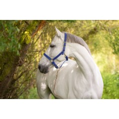 Kantar dla konia Mustang, niebieski/czarny, roz. Cob, Covalliero
