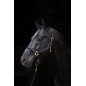 Kantar dla konia TopLine, czarny, roz. Foal, Covalliero