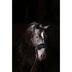 Kantar dla konia ClassicSoft, czarny, roz. Pony, Covalliero 