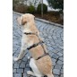 Szelki antyucieczkowe dla psa Miami, 15 mm, 38-52 cm, szare, Kerbl
