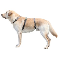 Szelki antyucieczkowe dla psa Miami, 15 mm, 38-52 cm, szare, Kerbl 