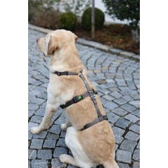 Szelki antyucieczkowe dla psa Miami, 20 mm, 48-70 cm, szare, Kerbl 