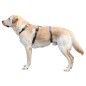 Szelki antyucieczkowe dla psa Miami, 20 mm, 48-70 cm, szare, Kerbl