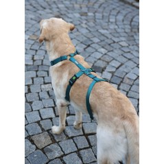 Szelki antyucieczkowe dla psa Miami, 25 mm, 64-100 cm, turkusowe, Kerbl 