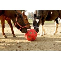 Piłka do zabawy dla konia HeuBoy, 40 cm, czerwony, Kerbl