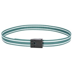 Obroża identyfikacyjna z plastikową klamrą zatrzaskową, 130 cm, zielony, Kerbl
