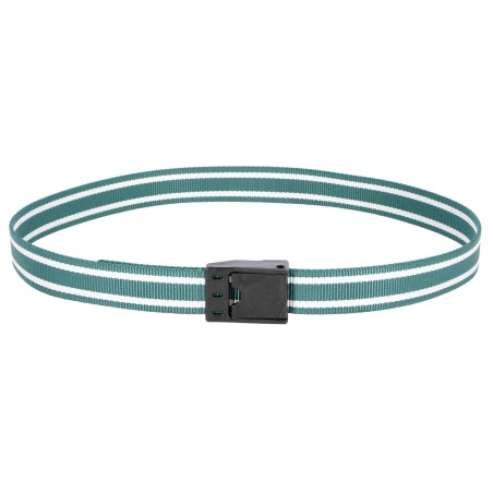Obroża identyfikacyjna z plastikową klamrą zatrzaskową, 130 cm, zielony, Kerbl