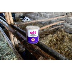Trutka na muchy AzametiFly, granulat, 400 g, Cit
