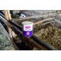 Trutka na muchy AzametiFly, granulat, 400 g, Cit