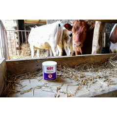 Trutka na muchy AzametiFly, granulat, 400 g, Cit 