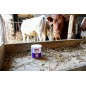 Trutka na muchy AzametiFly, granulat, 400 g, Cit