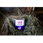 Trutka na muchy AzametiFly, granulat, 400 g, Cit