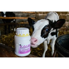 Środek owadobójczy na muchy KOLBA, koncentrat, 500 ml, Kerbl 
