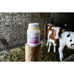 Środek owadobójczy na muchy KOLBA, koncentrat, 500 ml, Kerbl 