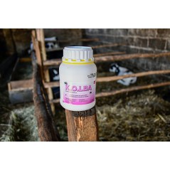 Środek owadobójczy na muchy KOLBA, koncentrat, 500 ml, Kerbl 