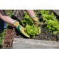 Rękawice ogrodnicze, z mikrofibry, zielono-brązowe, roz. 9, Kerbl