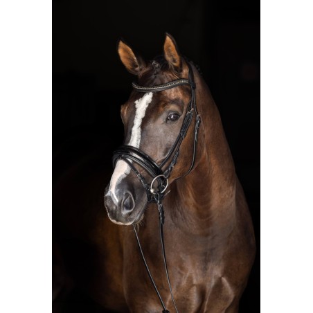 Nachrapnik szwedzki, czarny lakierowany, Pony, Covalliero
