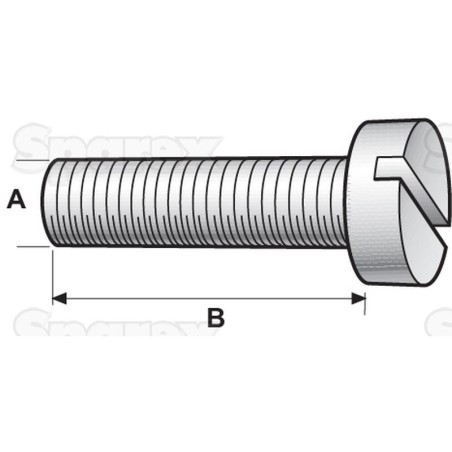 Maszynowe, Wymiar: M3x10mm (DIN 84)