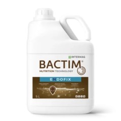 Bactim Endofix 5l Intermag
