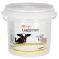 Dodatek do siary Globigen Colostrum, 1 kg, EW Nutrition