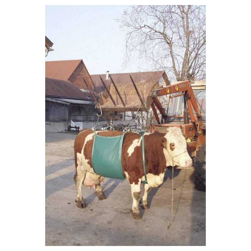 Urządzenie do podnoszenia krów Daisy Lifter, Kerbl