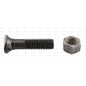 Oval Head Bolts - Double Nib (TO2E) - M12x50mm, Wytrzymałość na rozciąganie 10.9 (25 szt Kartonik) Zastępuje: 100323403