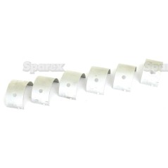 Panewka korbowodu +0.020'' (0.50mm) Set 