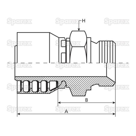 Parker BSP Wkłąd węża 1/2'' x 1/2'' x 14'' Męski Prosta