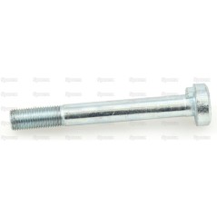 Pipped Śruba M14 x 1.5 x 110mm