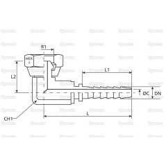 Dicsa BSP 60° Wkład do węża 3/4'' x 3/4'' Gwint żeński 90° Złączka kompaktowa 