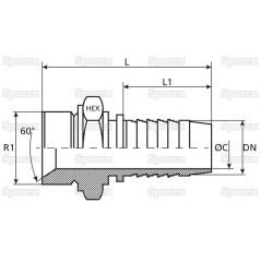 Dicsa BSP 60° Wkłąd węża 1'' x 1 1/4'' Gwint męski Prosta 