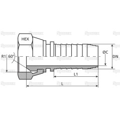 Dicsa BSP 60° Wkłąd węża 1/4'' x 1/8'' Gwint żeński Złączka prosta