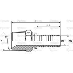 Dicsa BSPT Wkłąd węża 1'' x 1 1/4'' Gwint męski Prosta 