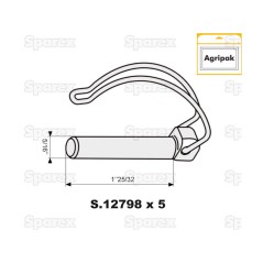 Prztyczka rury, Sworzeń Ø10mm x 55mm (5 szt agropak) 