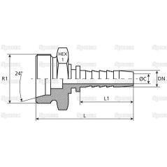 Dicsa Metryczny (French Gas) 24° Wkłąd węża 1/4'' x M20 x 1.5 Gwint męski Prosta 