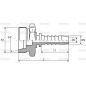 Dicsa Metryczny (French Gas) 24° Wkłąd węża 3/4'' x M36 x 1.5 Gwint męski Prosta