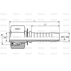 Dicsa Metryczny 24° Wkłąd węża 1'' x M36 x 2 (25S) Gwint żeński Straight Swivel With O-Ring 