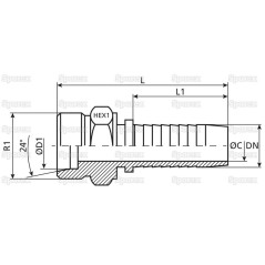 Dicsa Metryczny 24° Wkłąd węża 1'' x M36 x 2 (28L) Gwint męski Prosta 